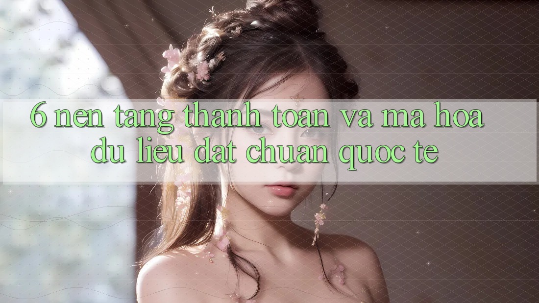 6. Nền tảng Thanh Toán Và Mã hóa dữ liệu Đạt Chuẩn Quốc Tế
