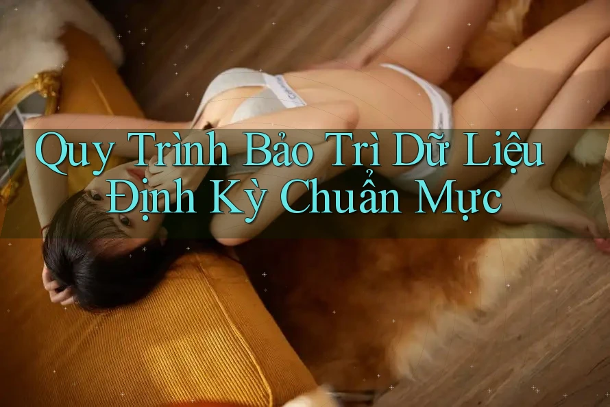 Quy Trình Bảo Trì Dữ Liệu Định Kỳ Chuẩn Mực