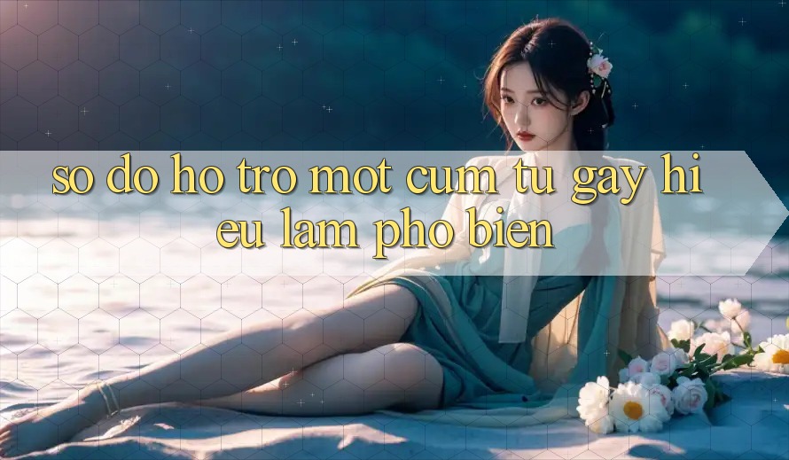 “Số Đỏ Hỗ Trợ” – Một Cụm Từ Gây Hiểu Lầm Phổ Biến