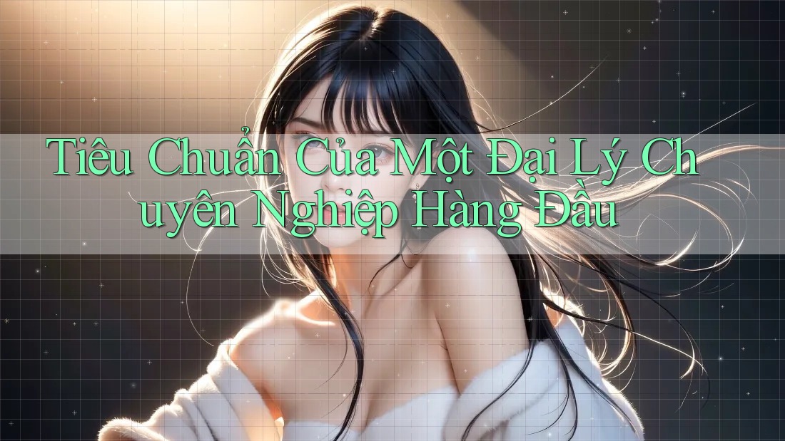Tiêu Chuẩn Của Một Đại Lý Chuyên Nghiệp Hàng Đầu