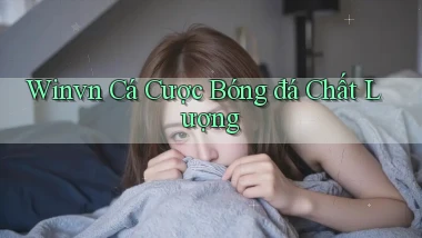 winvn  cá cược bóng đá chất lượng